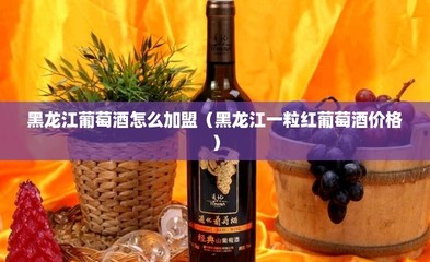 黑龙江葡萄酒怎么加盟(黑龙江一粒红葡萄酒价格)